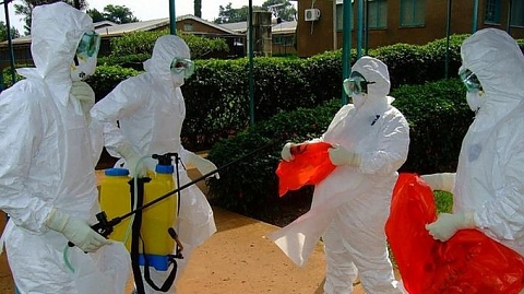 Вирусът ебола, Африка, Лекари без гриници