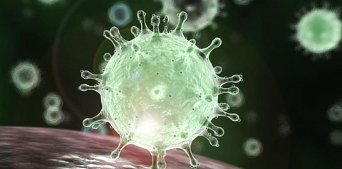 Паника в Италия: шест заразени с коронавирус