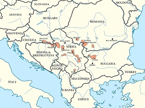 На Балканите има епидемия от бъбречни заболявания