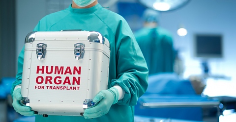Трансплантационен регистър и информационна кампания  за донорството и трансплантациите