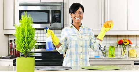 Токсични химикали в препаратите за почистване на дома