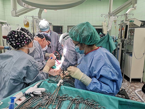 Чернодробна трансплантация във ВМА