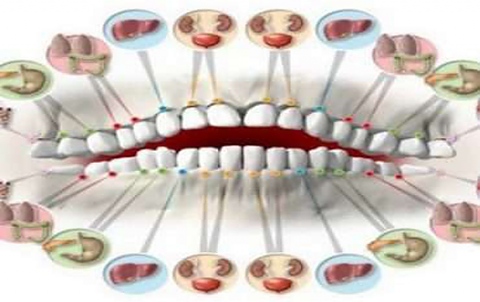 Всеки зъб е свързан с орган в тялото