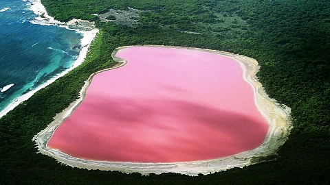 Розово езеро 