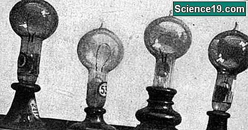 Бамбукът вдъхновява Томас Едисон за направата на нажежаеми жички на електрически крушки, издържащи над 1200 часа.