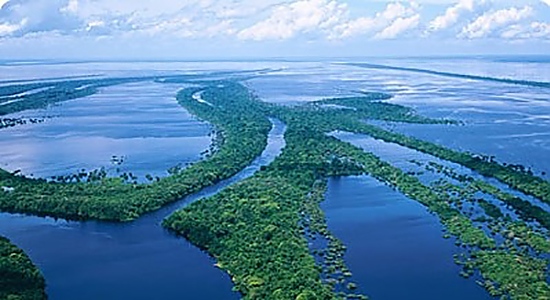Най-дългата река в света: Нил или Амазонка?