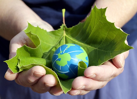 Международен ден за опазване на околната среда