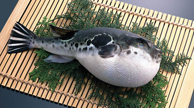 Фугу - бодлива риба