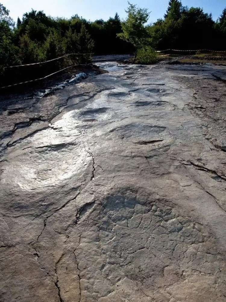 огромни следи преди 150 милиона години