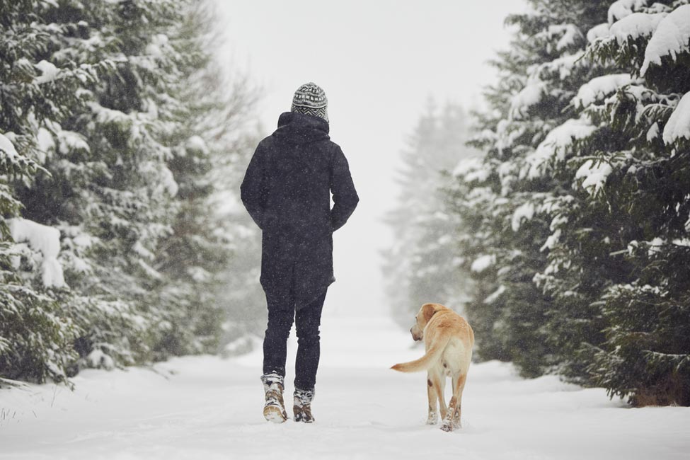 оплзи от разходките в зимните месеци