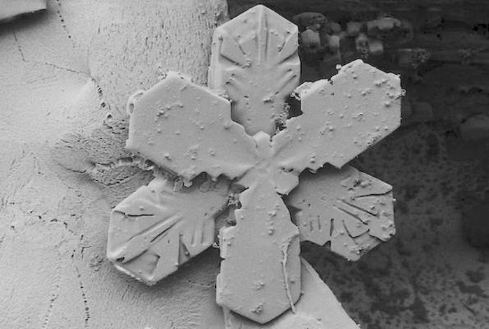 Снежинка  под микроскоп