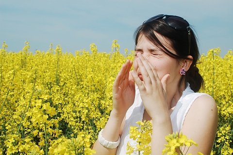 алергия към полени