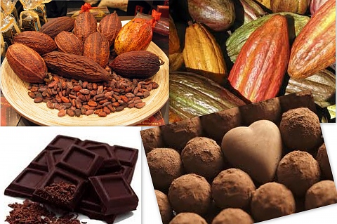 какао срещу деменция и добра памет