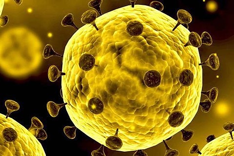 Последна информация за коронавируса в България