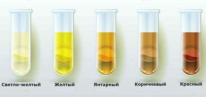 цветът на урината