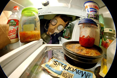 Опасности в хладилника - патогени