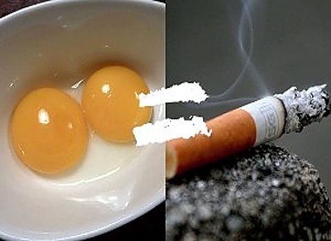 Цигарите и яйцата повишават холестерола