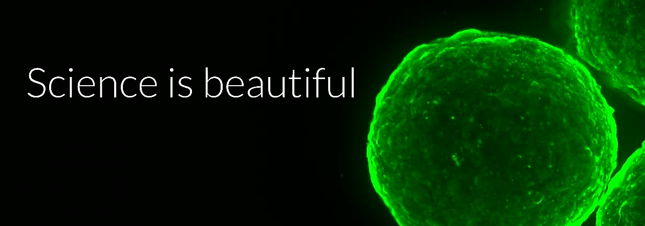 Красотата в науката