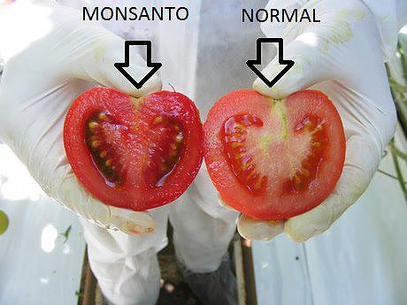 Как да разпознваме ГМО храните?