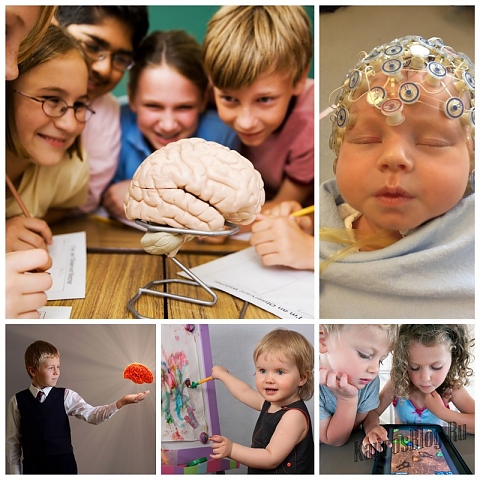 съвременното възпитание влияе на развитието на мозъка на детето