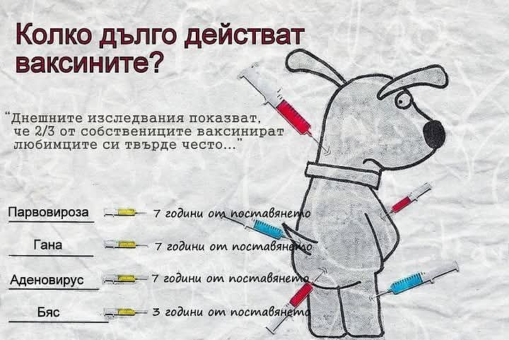 Колко често ваксинирате домашните си любимци