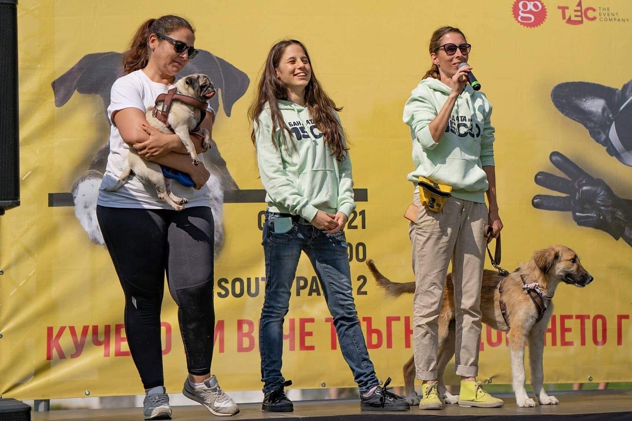 „Бандата на 1500-те“: Дарителска кампания за кучетата от приюти