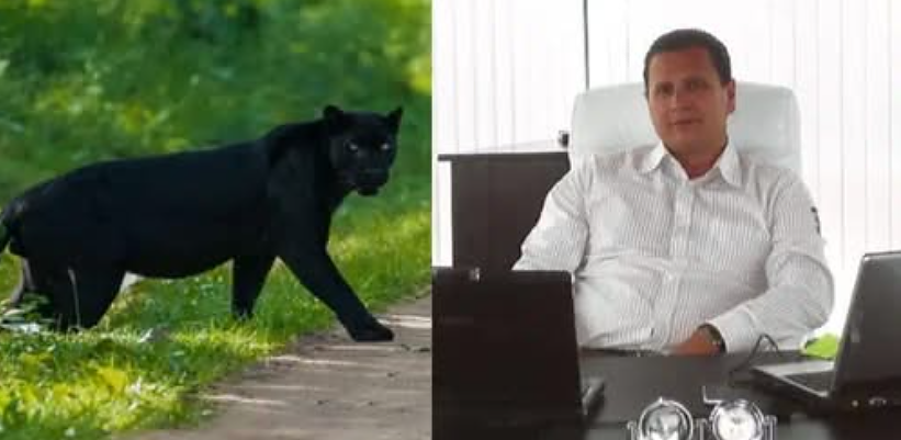 Ето го собственикът на шуменския леопард