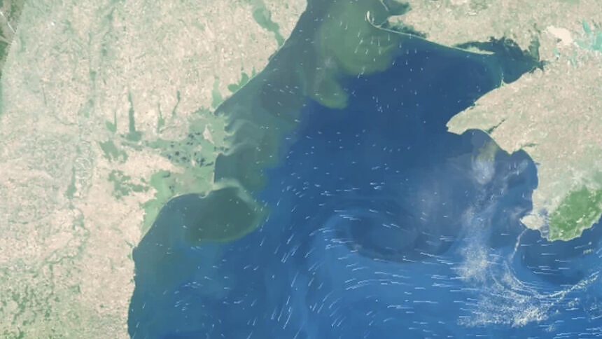 Дунав пази Черноморието от замърсените води в Одеския залив