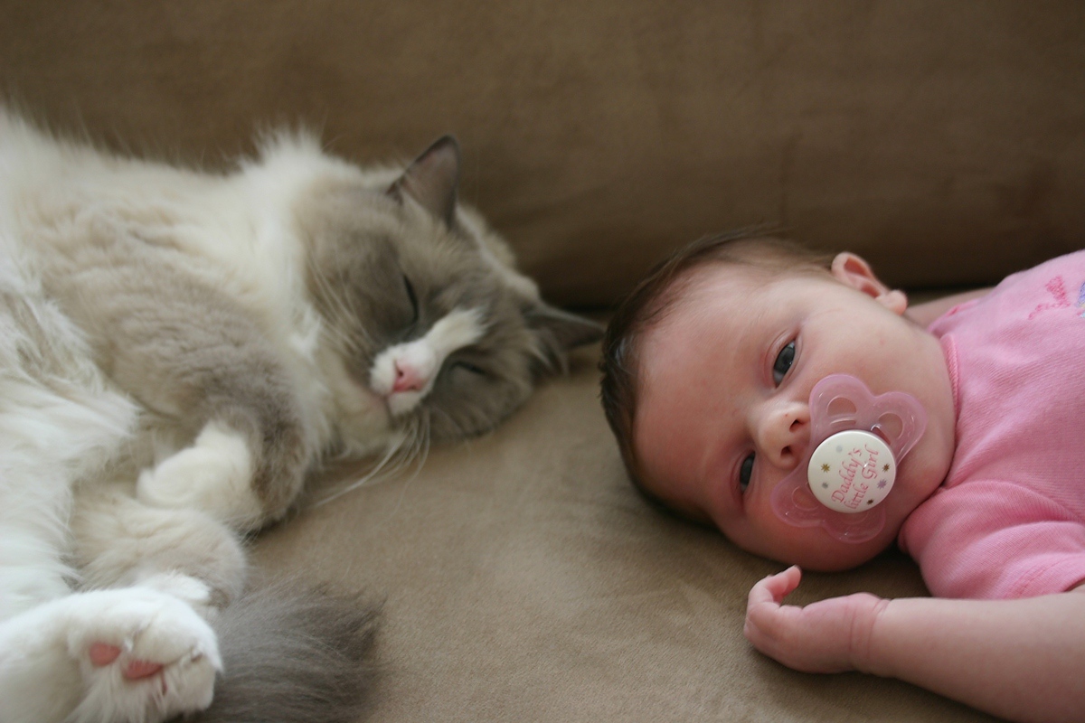 Котка и бебе