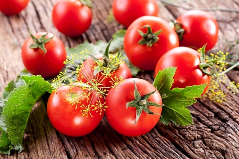 Засаждане на домати