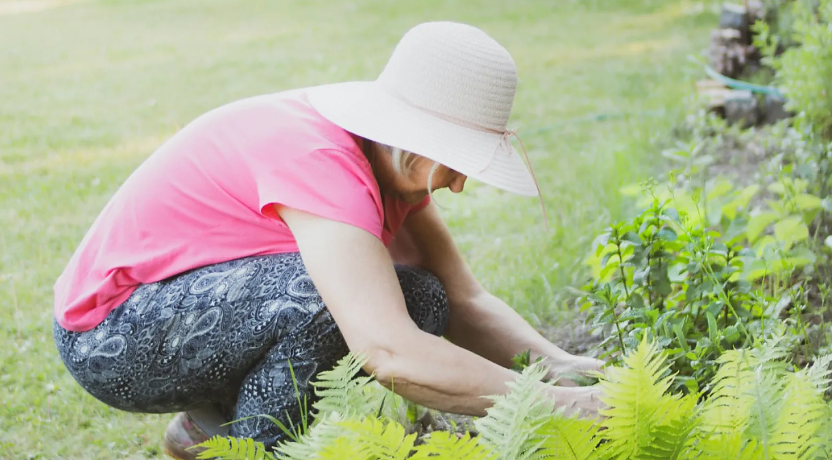 Как да работим в градината без вреда за здравето
