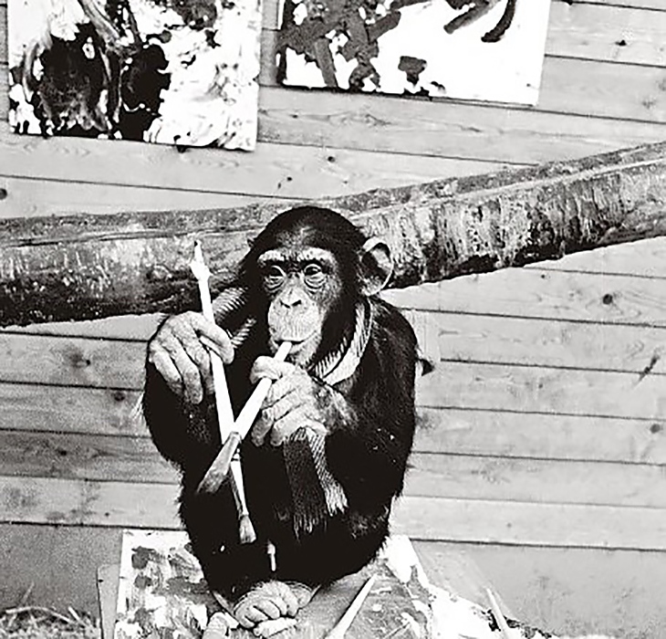 Единствената изложба на Пиер Брасо, който е шампанзе, е била с цел да покаже дали критиците разбират от модерно изкуство.