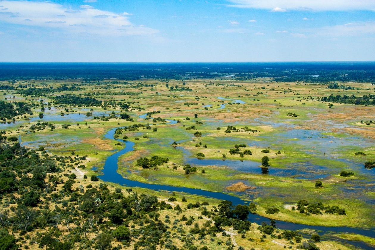 За африканската река Окаванго е характерно, че се разлива се в пустинята.