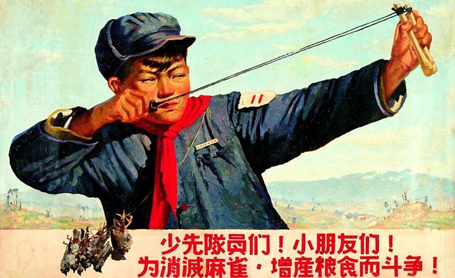 Мао Дзедун избива врабчетата през 1958 г., което води до екологична катастрофа в Китай