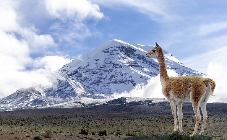 Връх Чимборасо, който до началото на ХХ в. се смята за най-висока точка на Земята, се намира в Еквадор.