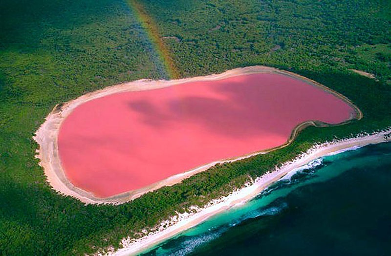 Любопитно по света: Розовото езеро Хилиър