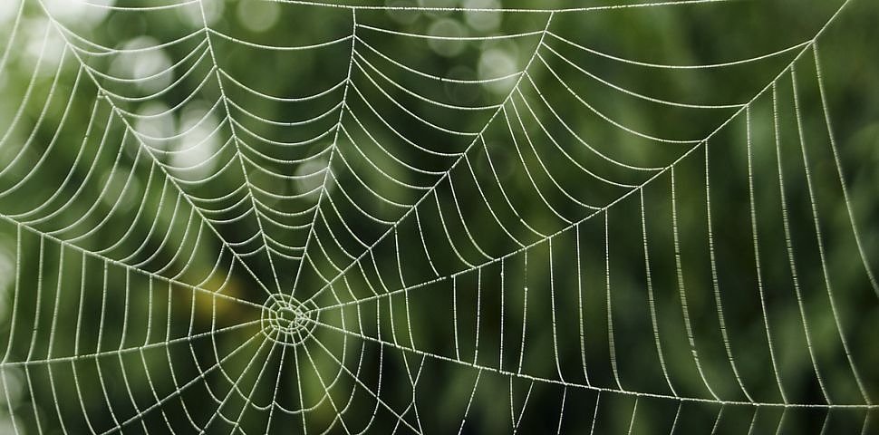 Нишка от паяжина би имала по-голяма здравина от стоманен кабел със същото тегло.