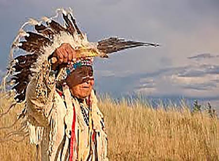 Дейвид Болд Ийгъл, Танцуващият с вълци, Плешивият орел