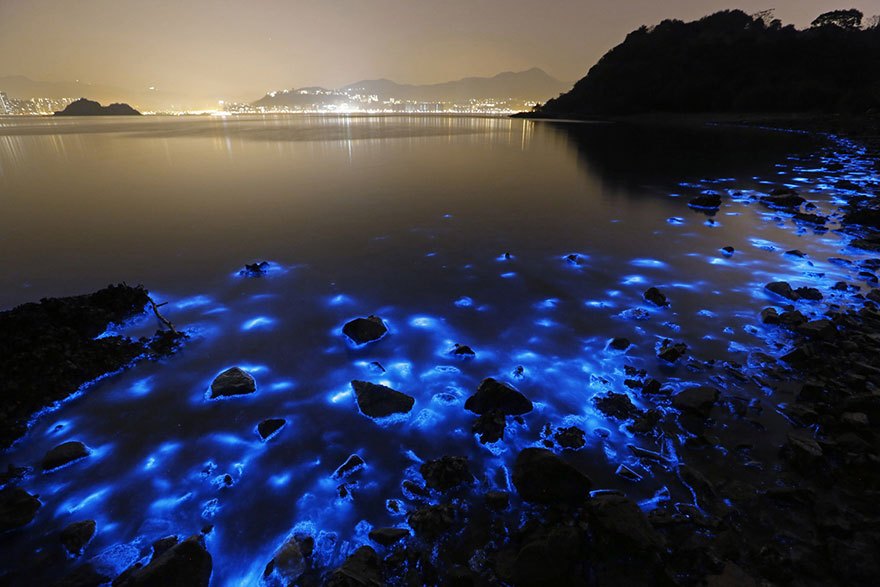 Биолуминисцентен планктон край бреговете на Хонконг