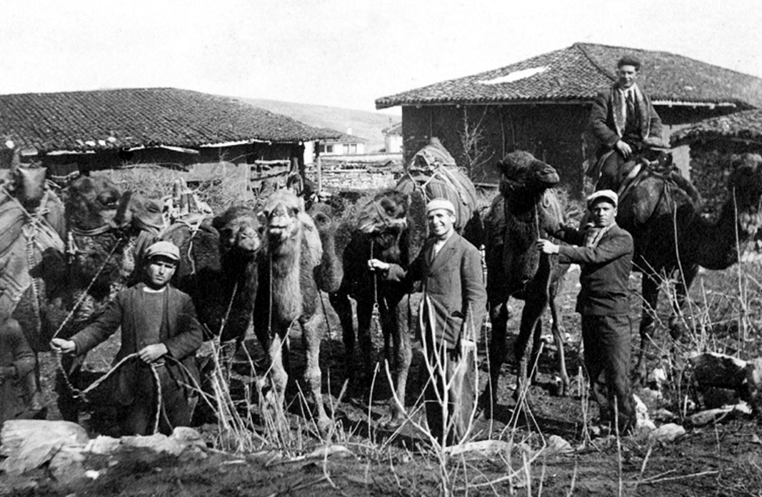 Деведжия и камила, Кавакли - 1934 г.