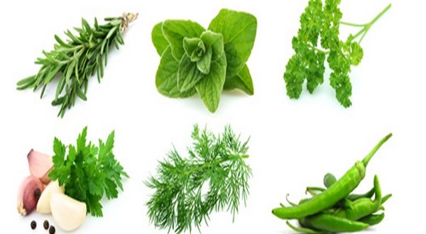 Зелени подправки съдържат витамин К