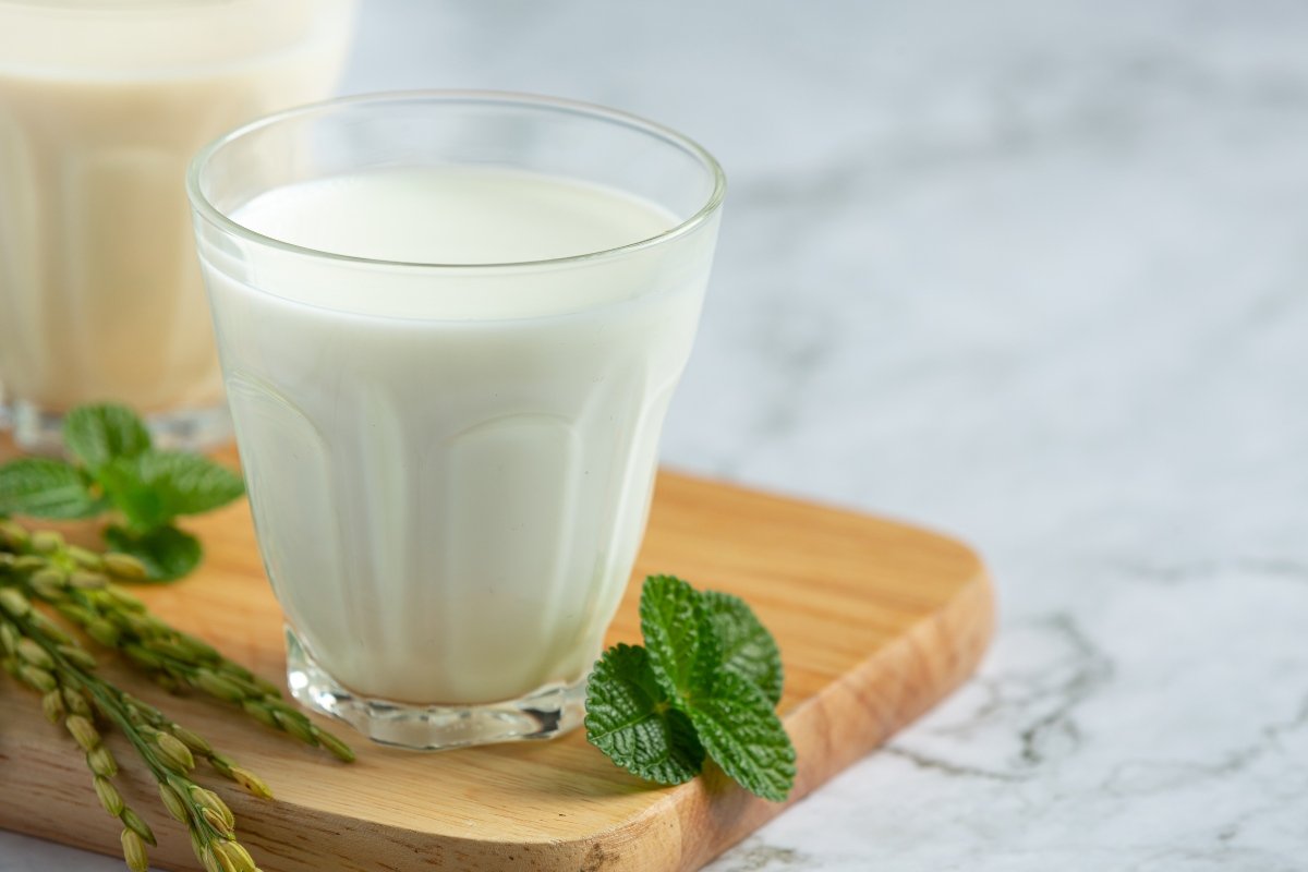 Кисело мляко на Мечников - тайната на младостта