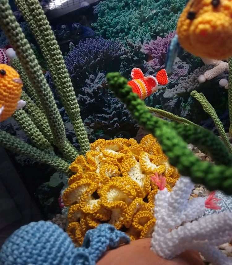 Плетен аквариум