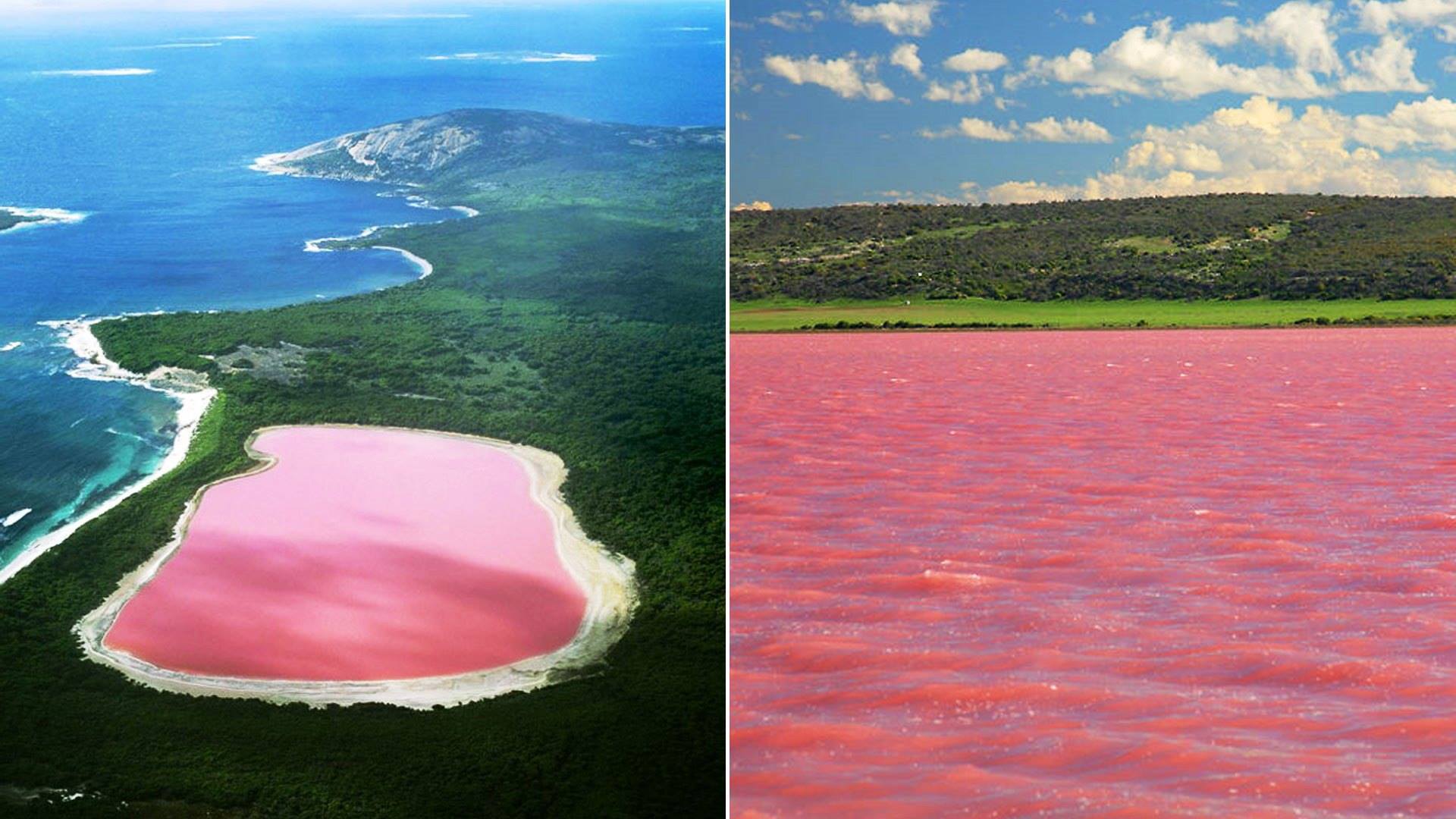 Розовото езеро Хилиър в Австралия