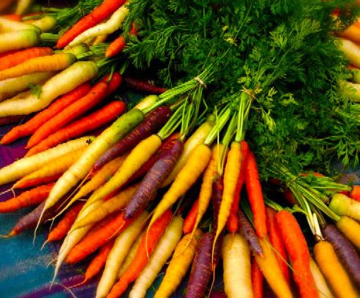 Цветни моркови