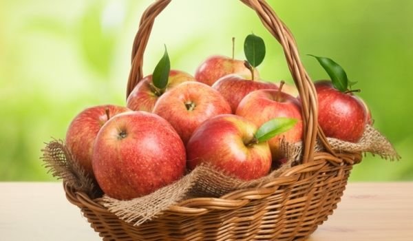 Запазване на ябълките през зимата