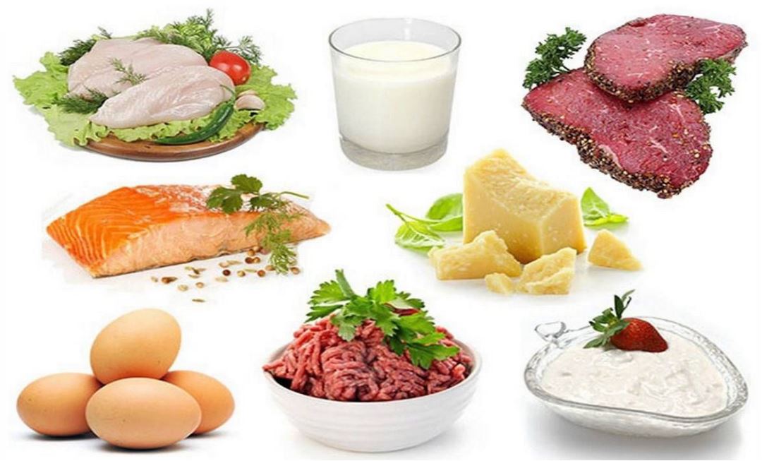 Протеини храни