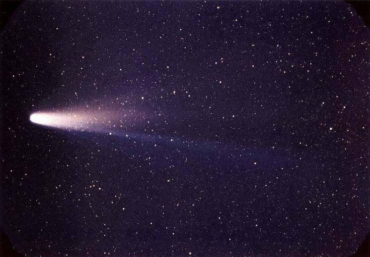 Първо наблюдение на Халеевата комета