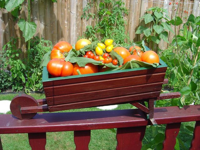 Градинарството - здравословно и вкусно